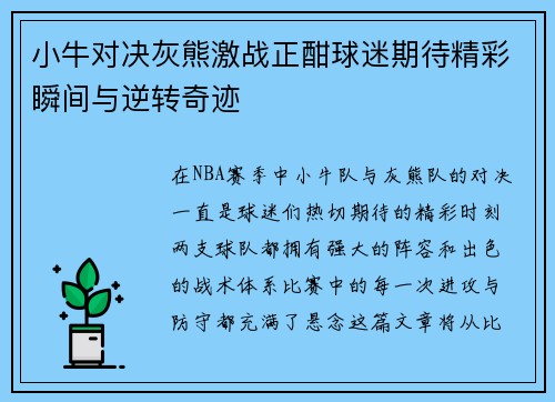 小牛对决灰熊激战正酣球迷期待精彩瞬间与逆转奇迹